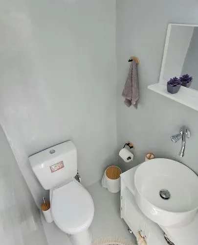 Eldimar Loft 度假居 Mykonos Town